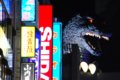 [風景]