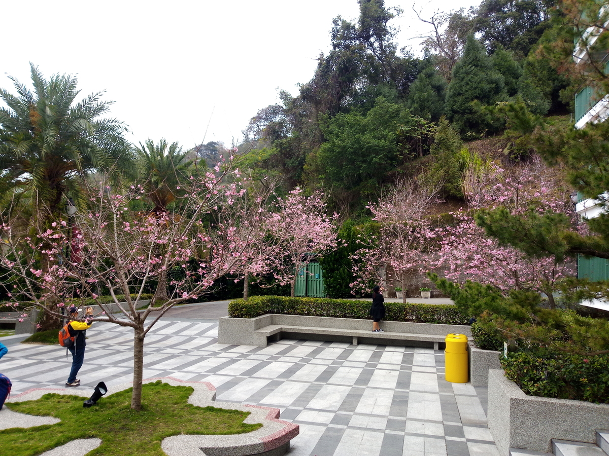 f:id:tw_shugaku:20190318111554j:plain f:id:tw_shugaku:20190318111554j:plain
