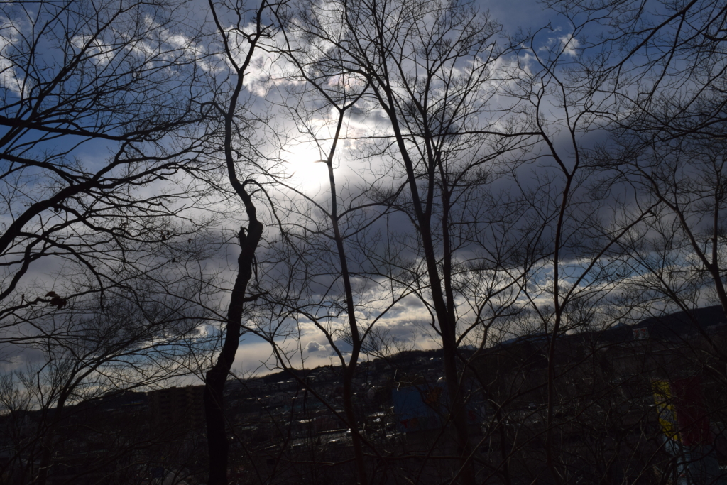 f:id:twdkr529:20170115142538j:plain f:id:twdkr529:20170115142538j:plain