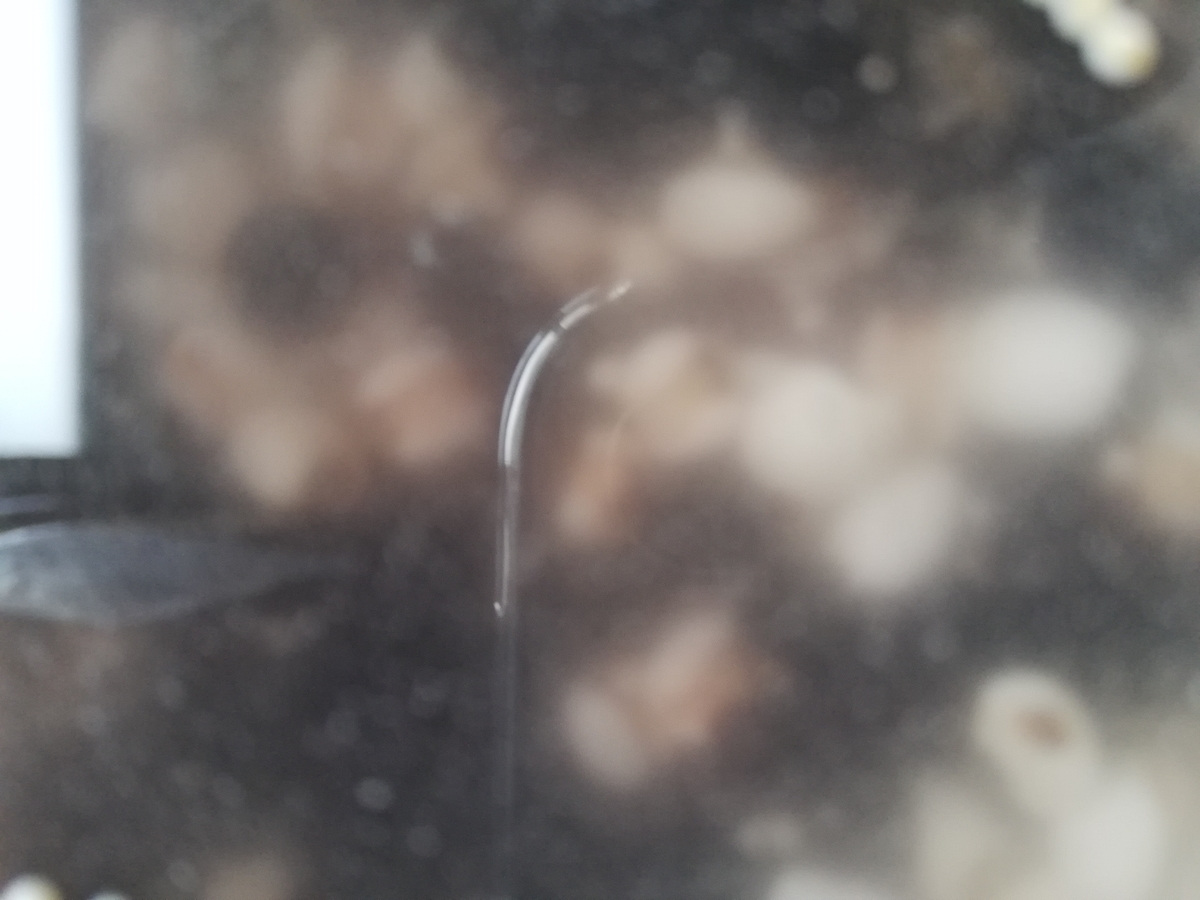 f:id:tweetcoju816:20190613142813j:plain f:id:tweetcoju816:20190613142813j:plain