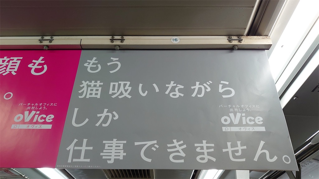 f:id:twelmy:20220208023003j:image