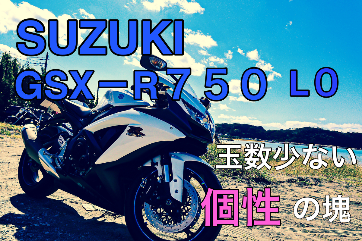 GSX-R750 L0(2010)年式 スズキ（SUZUKI）2010年 GSX-R750・カラーチェンジのカタログ情報