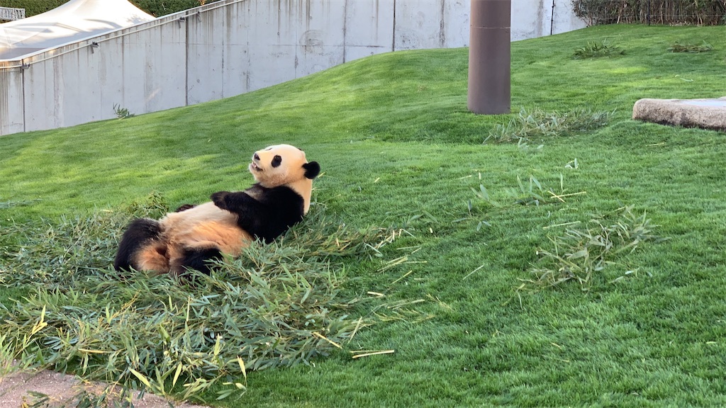 f:id:twenty_three_degrees:20210616170136j:image f:id:twenty_three_degrees:20210616170136j:image