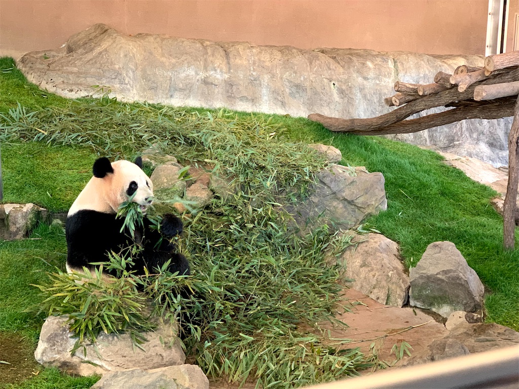 f:id:twenty_three_degrees:20210616170318j:image f:id:twenty_three_degrees:20210616170318j:image