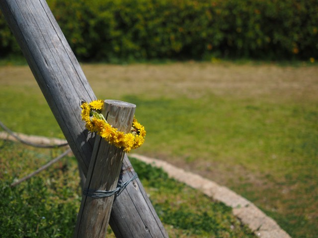 f:id:twentysixyrsold:20190422102506j:image