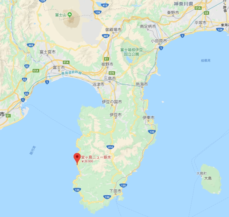 伊豆堂ヶ島　ニュー銀水地図