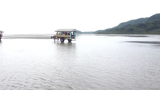 由布島　水牛車