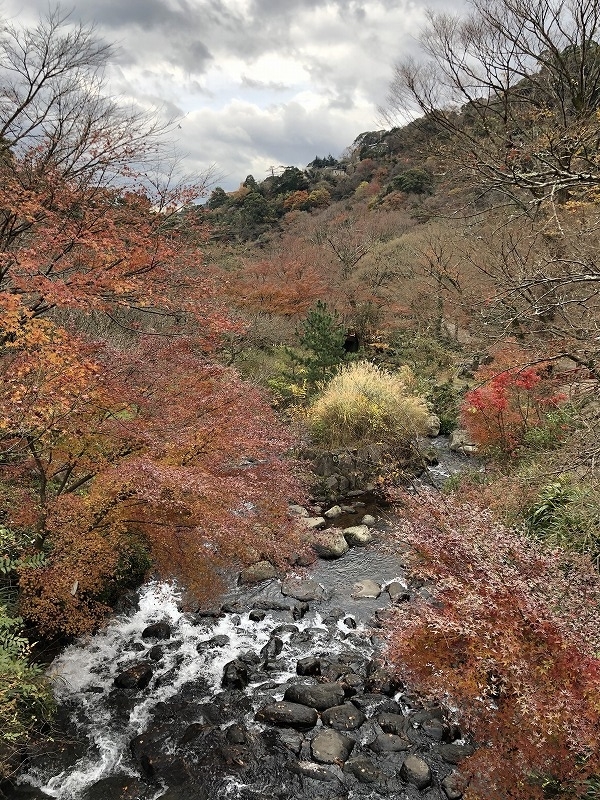 熱海梅園　紅葉