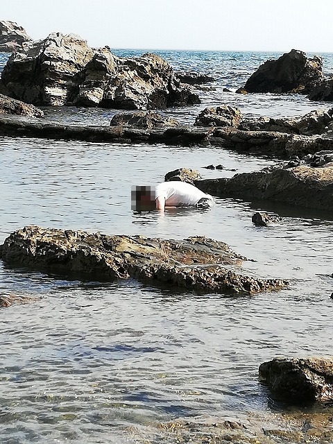 鴨川　仁右衛門島