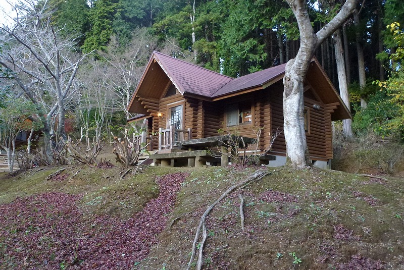 内浦山県民の森　ログキャビン