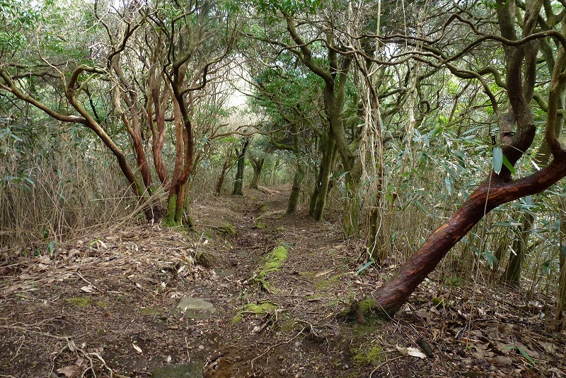 湯河原　白雲の滝