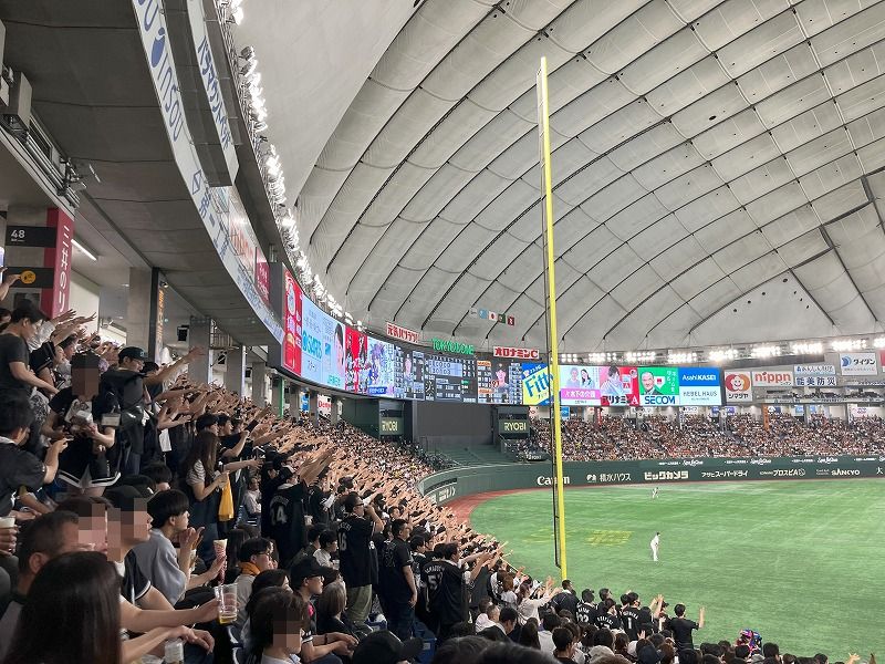 東京ドームの一人席