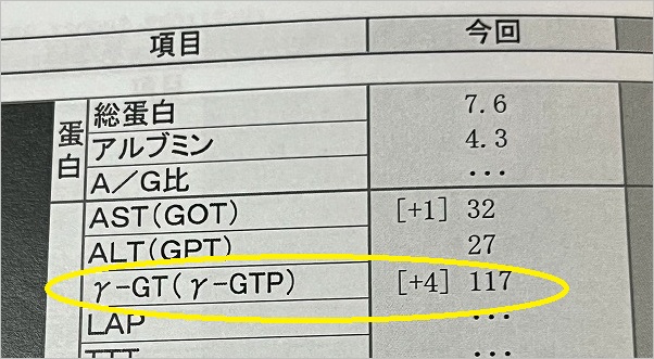 2025-01-17　人間ドック結果　γ-GPT