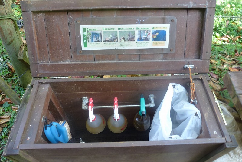 母島　南崎遊歩道