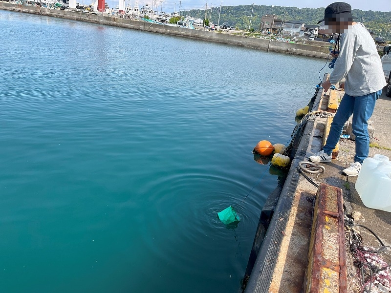 保田漁港　海水汲み