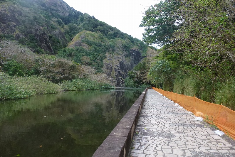 父島　八瀬川沿い