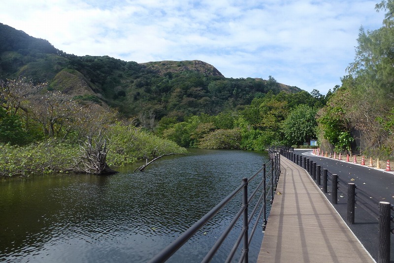 父島　八瀬川沿い