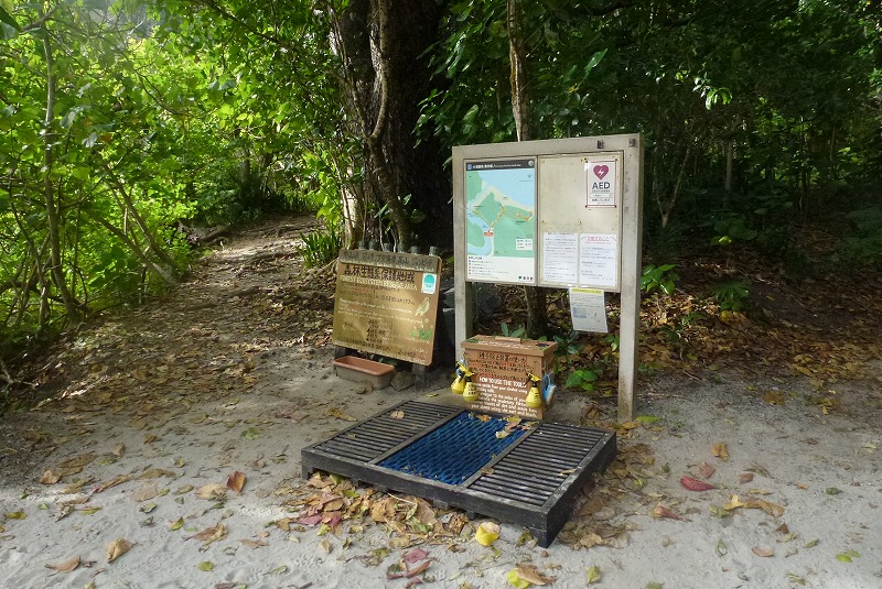 父島　生態系保護
