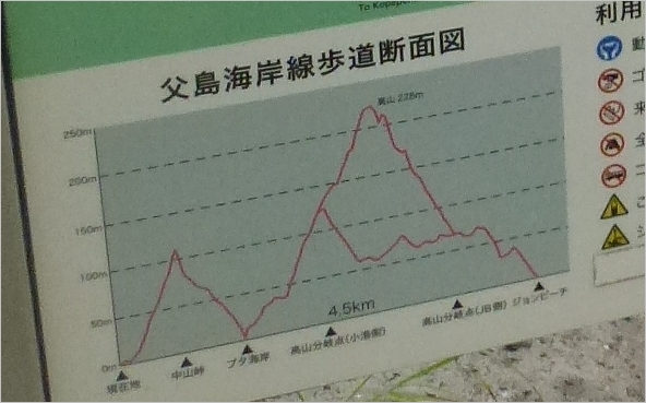 父島　海岸線歩道断面図
