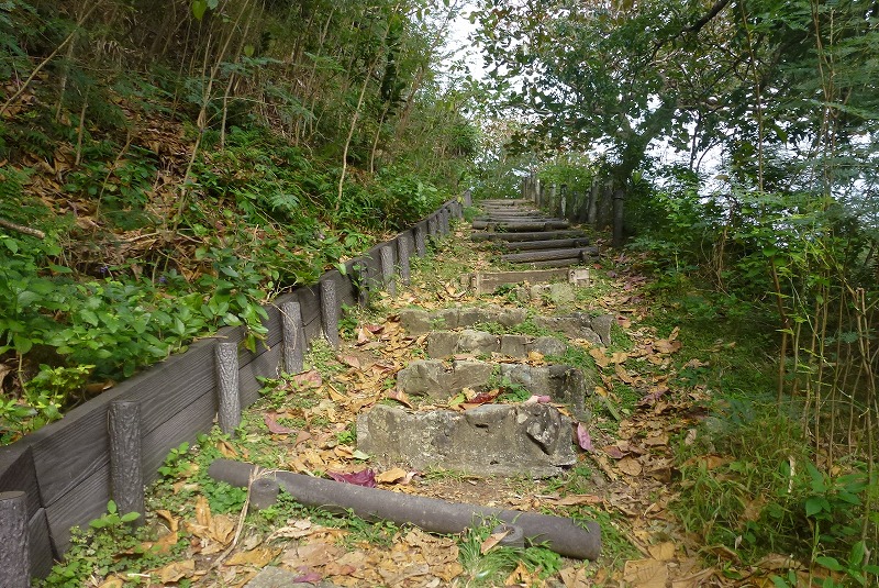 父島　中山峠へ