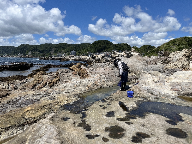仁右衛門島
