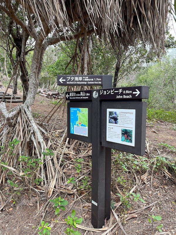 父島　高山遊歩道　道標