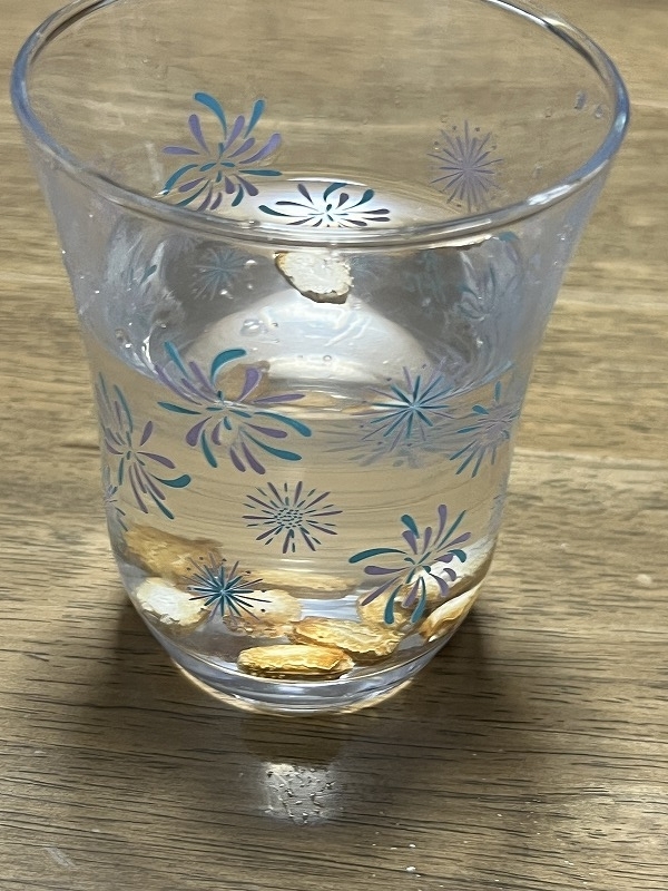 ゴーヤの種