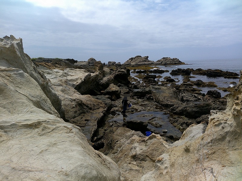 仁右衛門島　妻