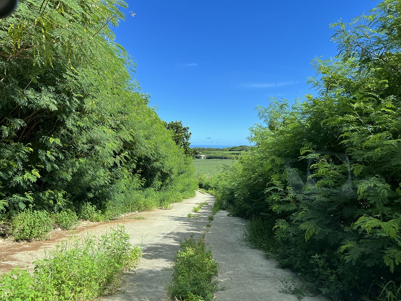 北大東島灯台より下る道