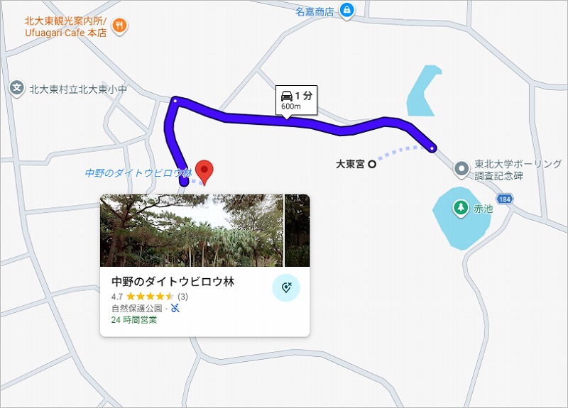 北大東島 中野のダイトウビロウ林
