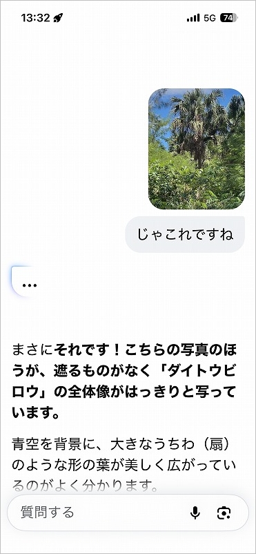 北大東島 中野のダイトウビロウ林 グーグルAIアシスタント回答