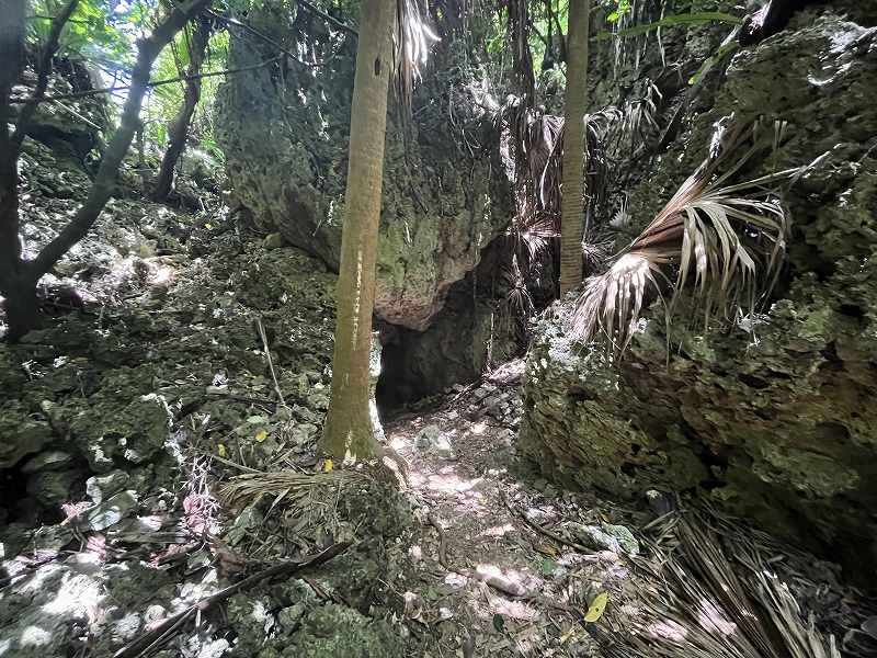 南大東島　バリバリ岩　トンネル