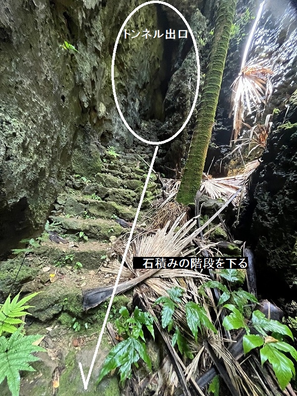 南大東島　バリバリ岩