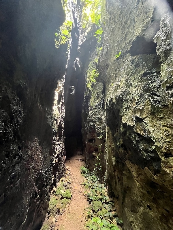 南大東島　バリバリ岩