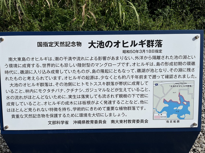 南大東島　大池展望台　オヒルギ群落説明板