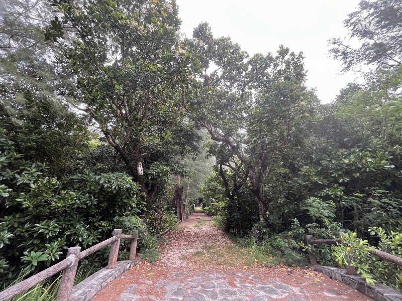 南大東島 大東神社 参道