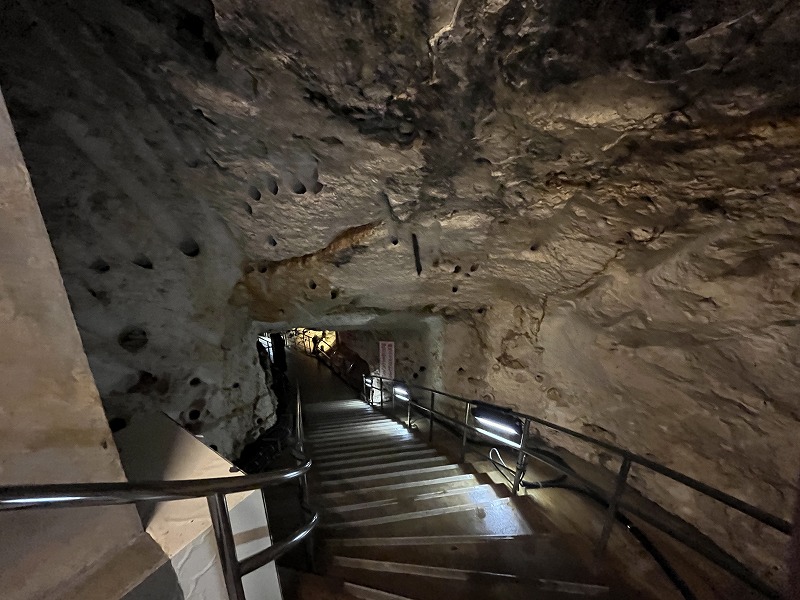 南大東島 星野洞