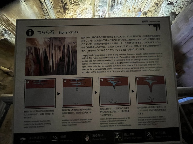 南大東島 星野洞
