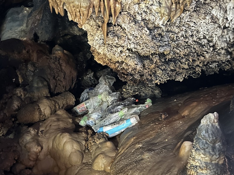 南大東島 星野洞 15の春