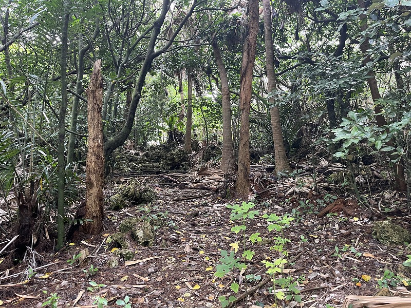 南大東島　忠魂碑への道