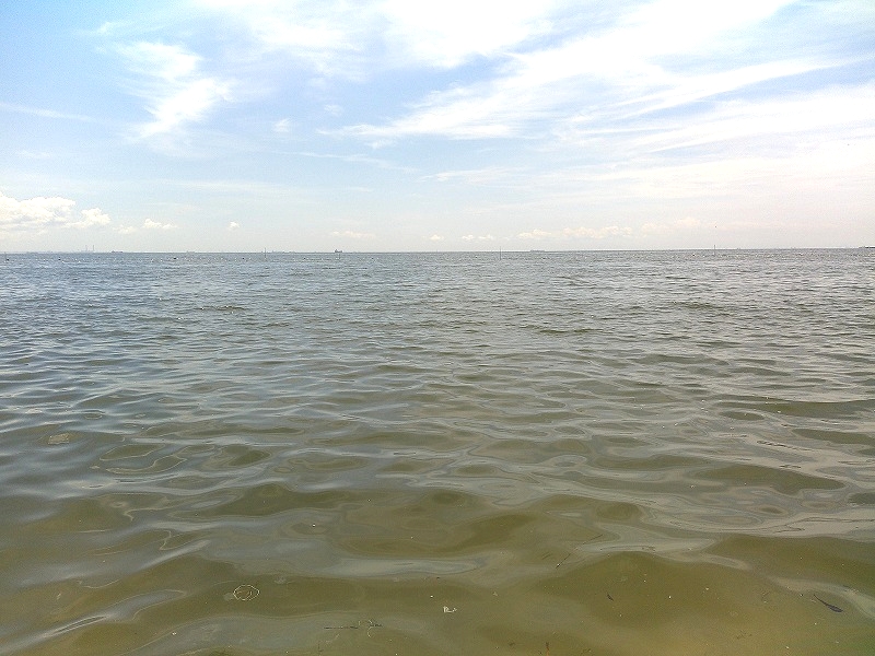 稲毛の浜