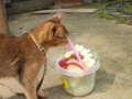 f:id:twincanon:20110603093650j:image:medium