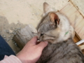 f:id:twincanon:20110603094556j:image:medium
