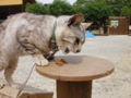 f:id:twincanon:20110603094708j:image:medium