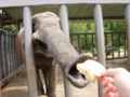 f:id:twincanon:20110603095757j:image:medium