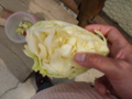 f:id:twincanon:20110603095901j:image:medium