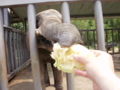 f:id:twincanon:20110603095942j:image:medium