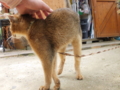 f:id:twincanon:20110603103011j:image:medium
