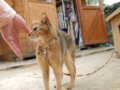 f:id:twincanon:20110603103015j:image:medium
