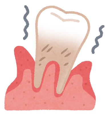 大人　乳歯　30代　40代　50代　ストレス　歯周病　理由　生え変わり　残す　ケア　方法　歯医者　先天性欠如　子ども　気を付ける